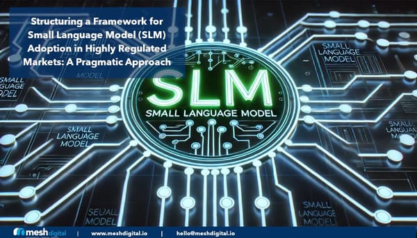 Structuring a Framework for Small Language Model (SLM) Adoption in Highly Regulated Markets: A Pragmatic Approach